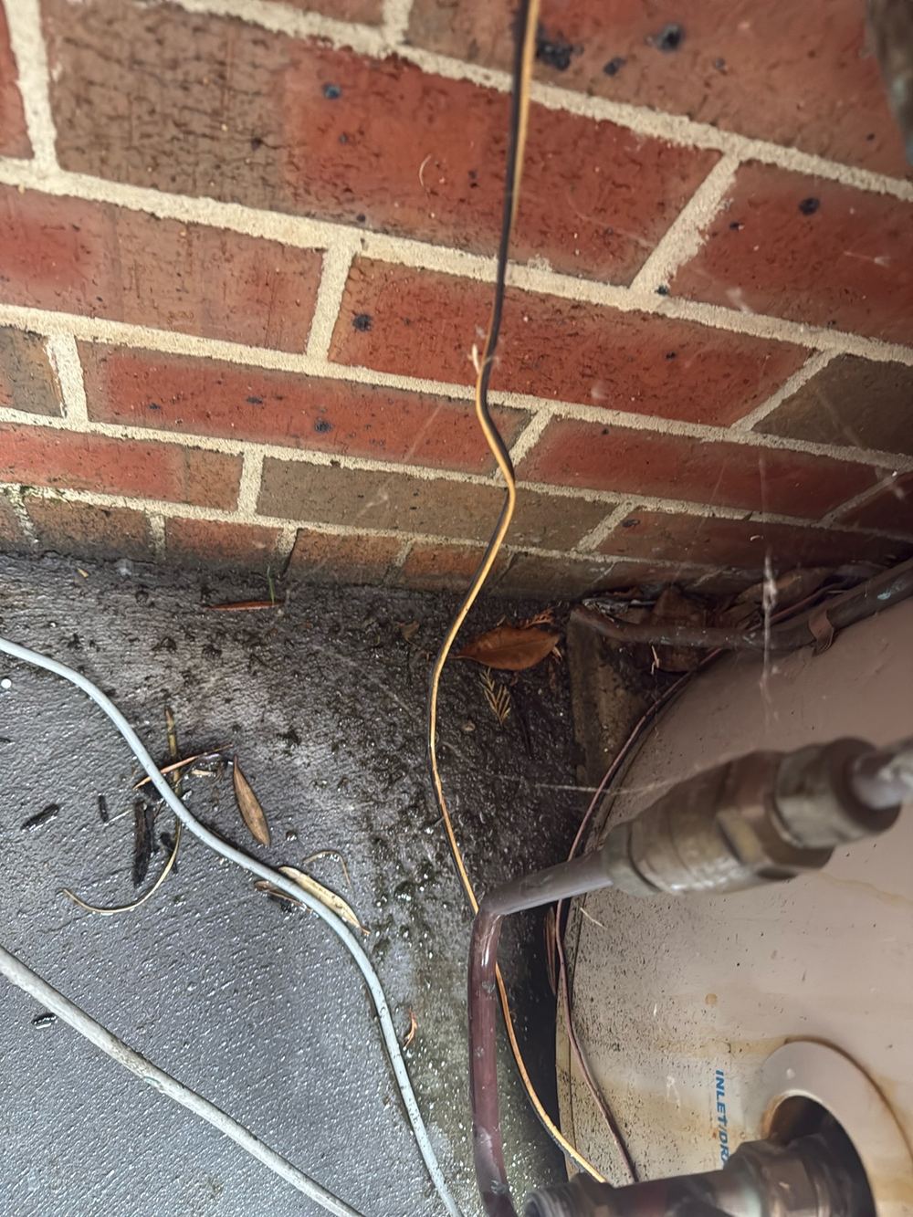Building and Pest Inspections in Berwick