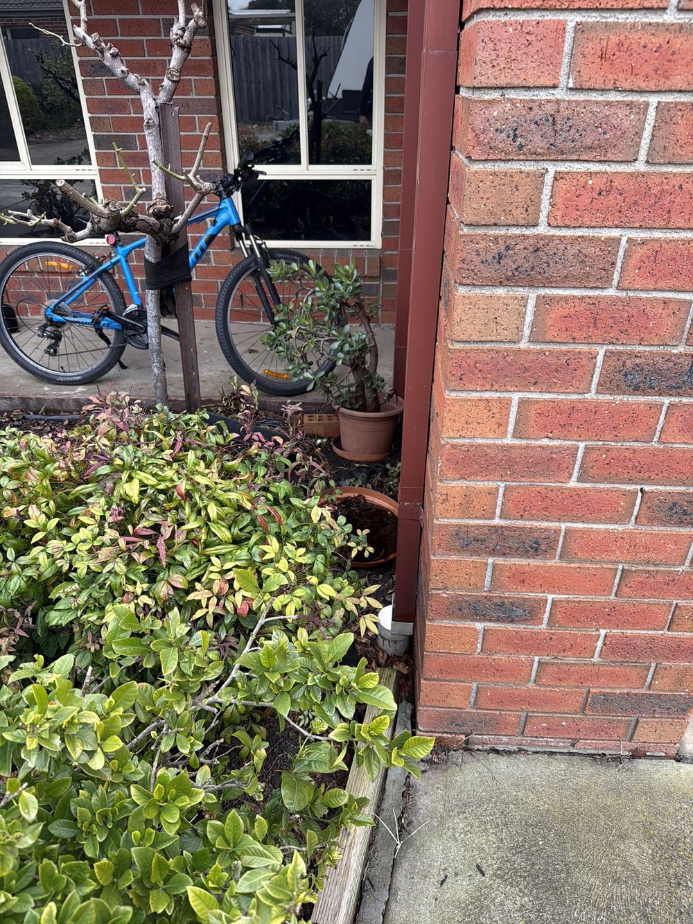 Downpipe not sealed into the stormwater pipe, so water escapes at the base, found during a building and pest inspection in Berwick
